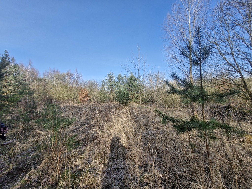 Działka na sprzedaż Stare Czarnowo 3 400 m2 | Arka Nieruchomości