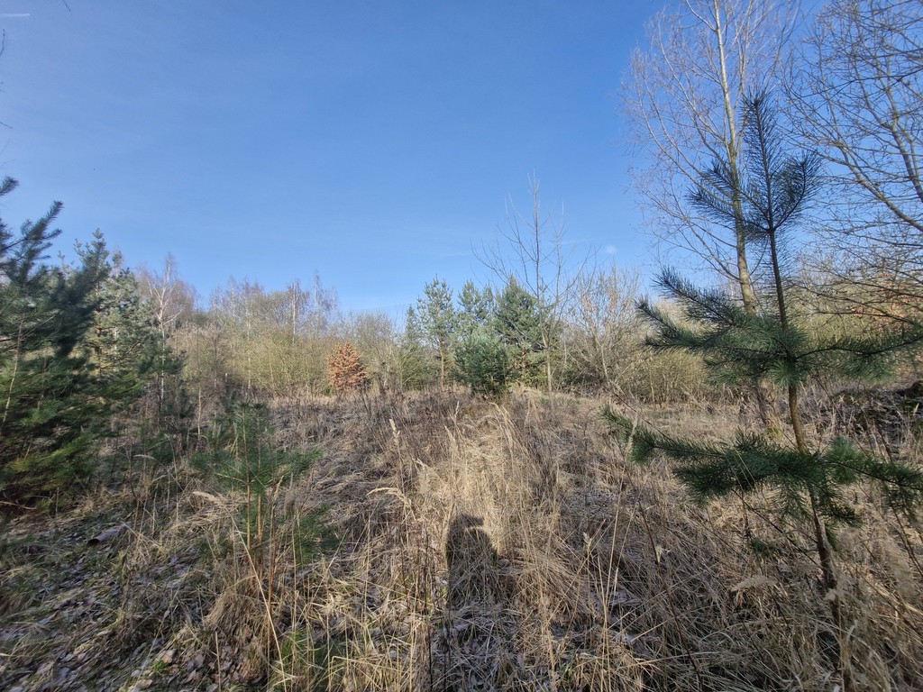 Działka na sprzedaż Stare Czarnowo 3 400 m2 | Arka Nieruchomości