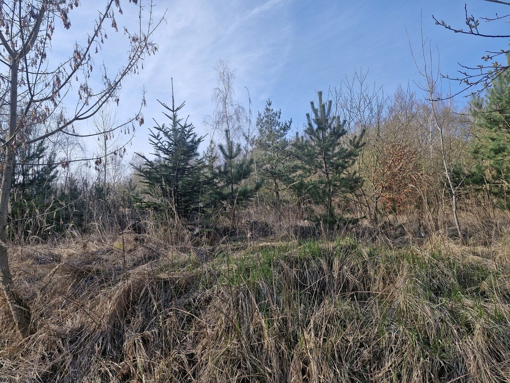 Działka na sprzedaż Stare Czarnowo 3 400 m2 | Arka Nieruchomości