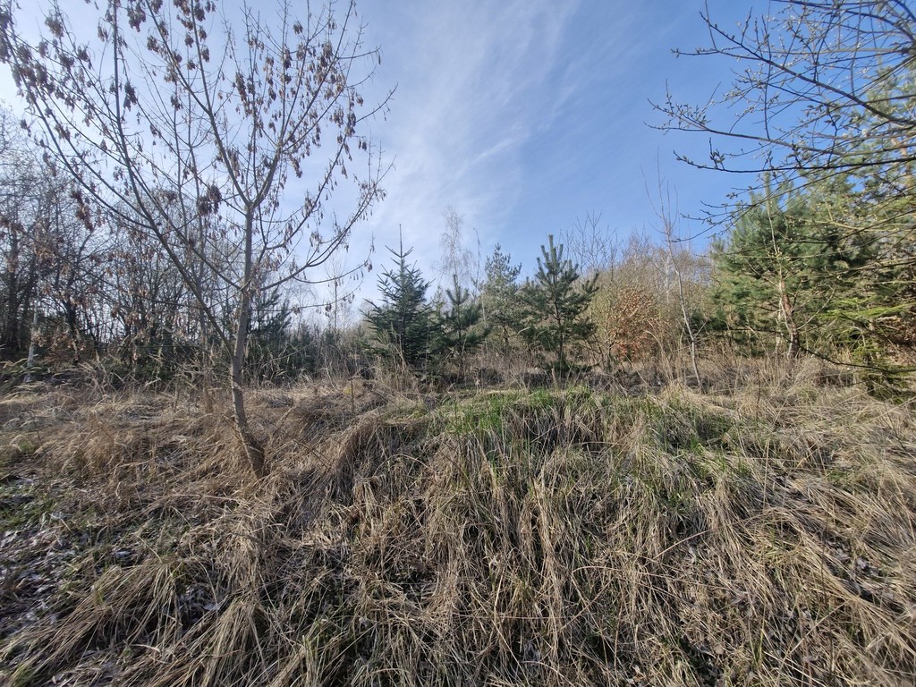 Działka na sprzedaż Stare Czarnowo 3 400 m2 | Arka Nieruchomości