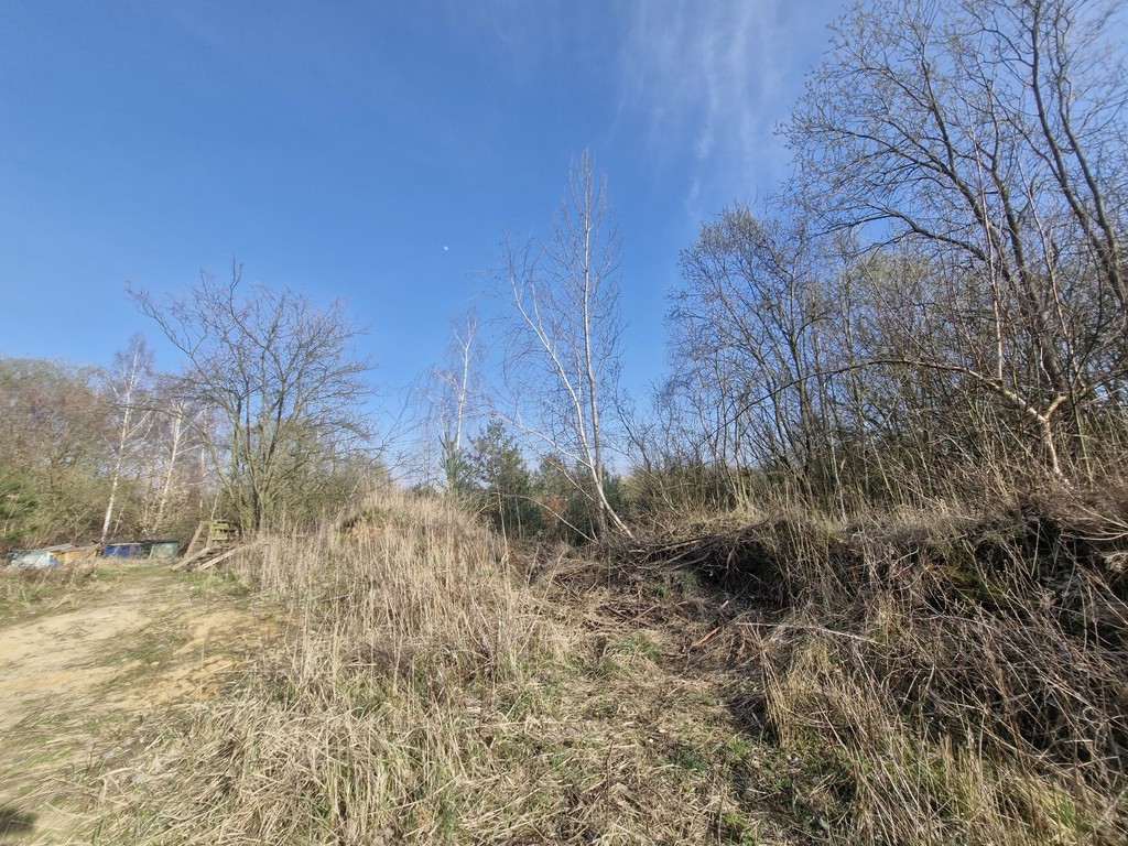 Działka na sprzedaż Stare Czarnowo 3 400 m2 | Arka Nieruchomości