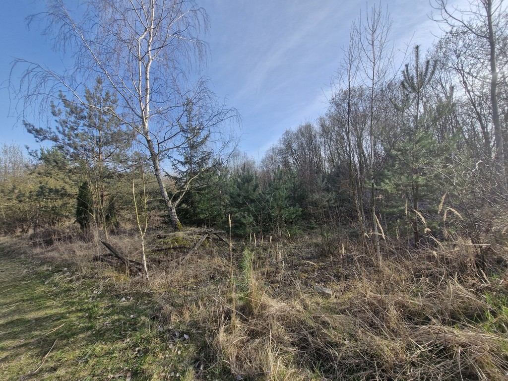 Działka na sprzedaż Stare Czarnowo 3 400 m2 | Arka Nieruchomości