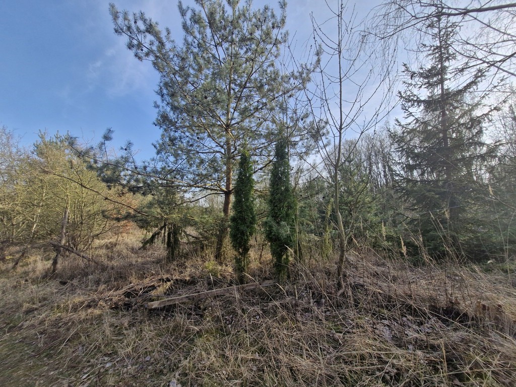 Działka na sprzedaż Stare Czarnowo 3 400 m2 | Arka Nieruchomości