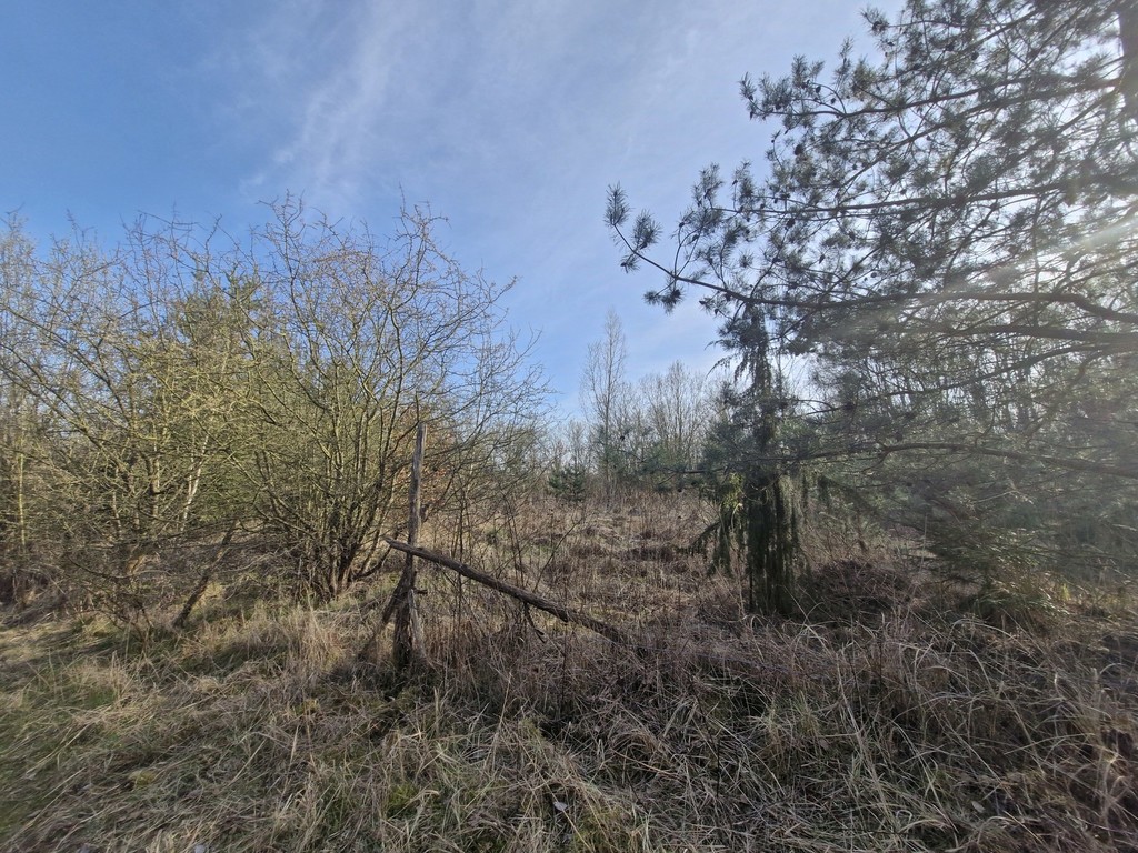 Działka na sprzedaż Stare Czarnowo 3 400 m2 | Arka Nieruchomości