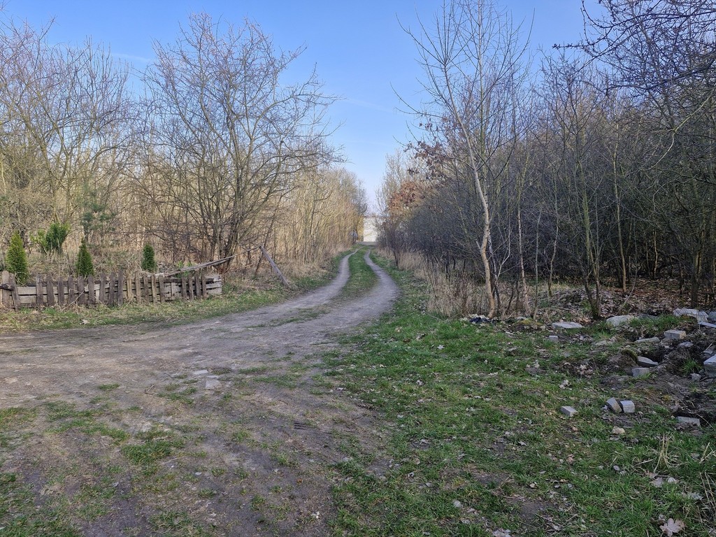 Działka na sprzedaż Stare Czarnowo 3 400 m2 | Arka Nieruchomości