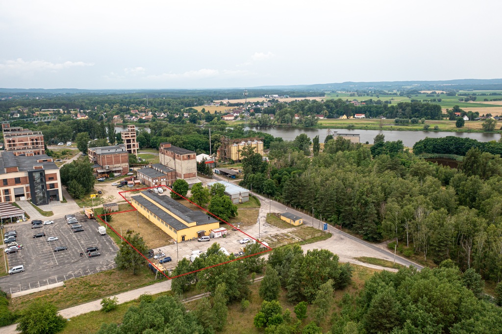 Obiekt na sprzedaż Osinów Dolny 1 462 m2 | Arka Nieruchomości
