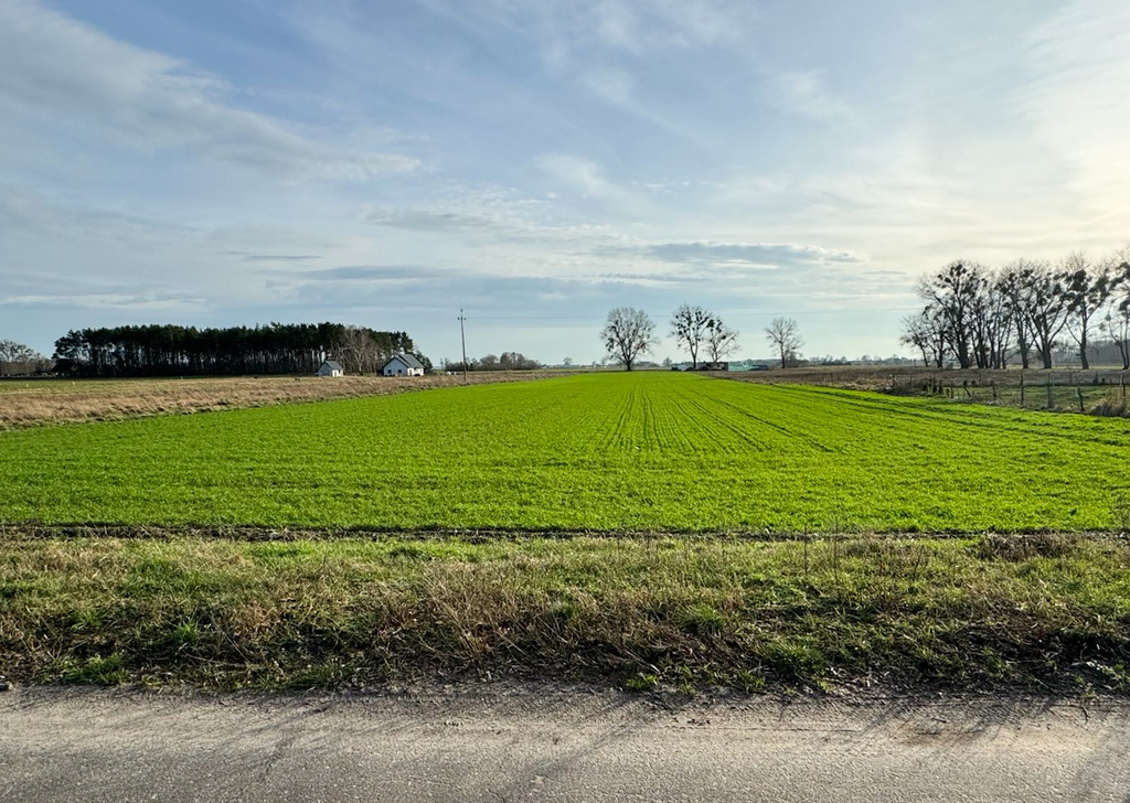 Działka na sprzedaż Borzysławiec 10 100 m2 | Arka Nieruchomości