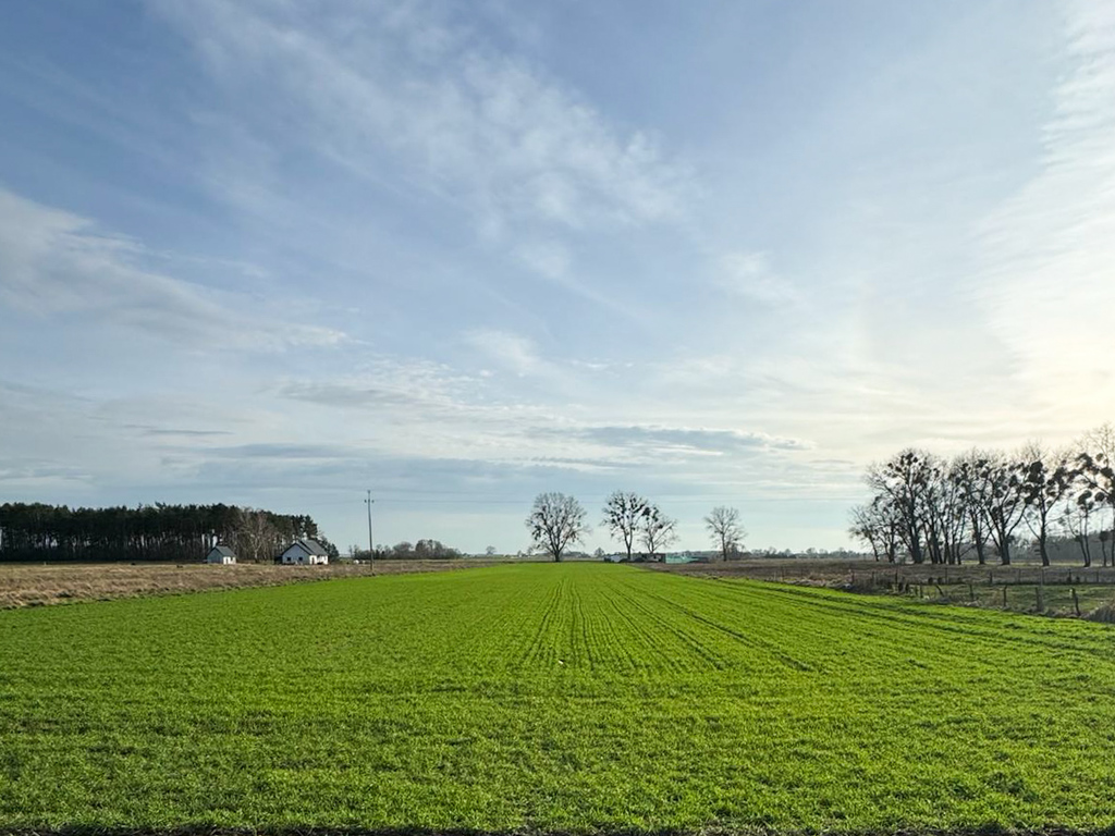 Działka na sprzedaż Borzysławiec 10 100 m2 | Arka Nieruchomości