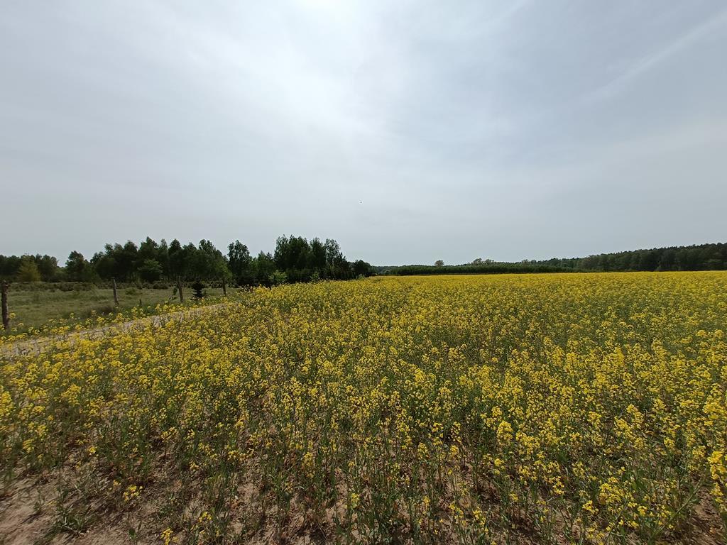 Działka na sprzedaż Stawno 1 304 m2 | Arka Nieruchomości