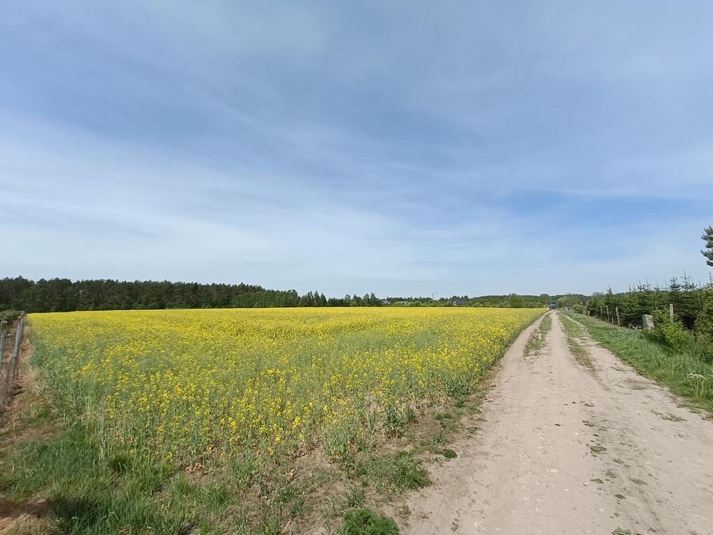 Działka na sprzedaż Stawno 1 304 m2 | Arka Nieruchomości