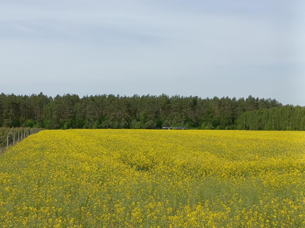 Działka na sprzedaż Stawno 1 304 m2 | Arka Nieruchomości