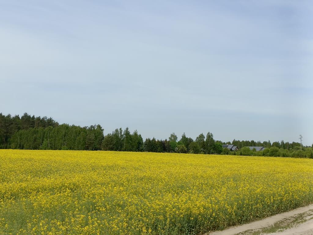 Działka na sprzedaż Stawno 1 304 m2 | Arka Nieruchomości