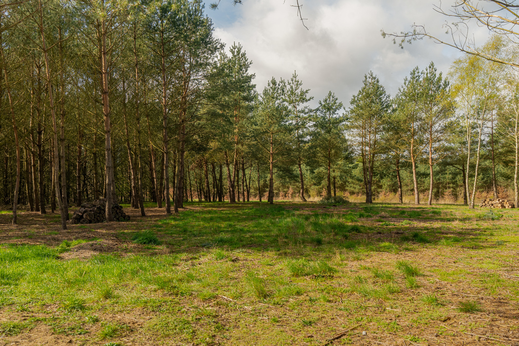 Działka na sprzedaż Osetna 920 m2 | Arka Nieruchomości