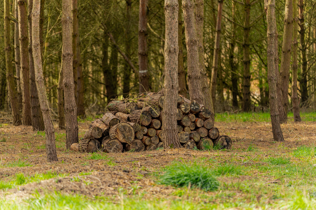 Działka na sprzedaż Osetna 920 m2 | Arka Nieruchomości