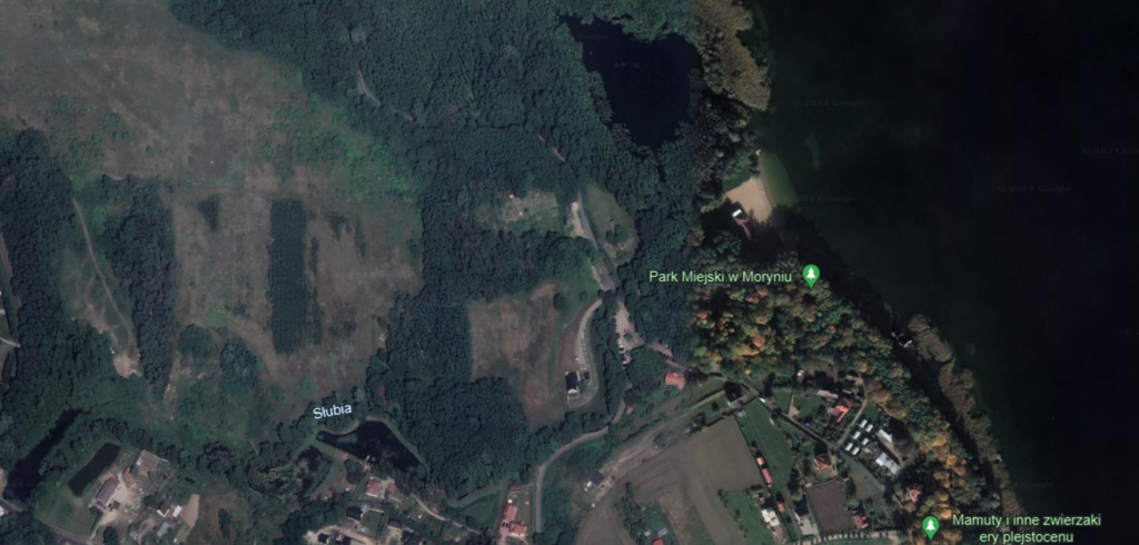 Działka na sprzedaż Moryń 2 313 m2 | Arka Nieruchomości