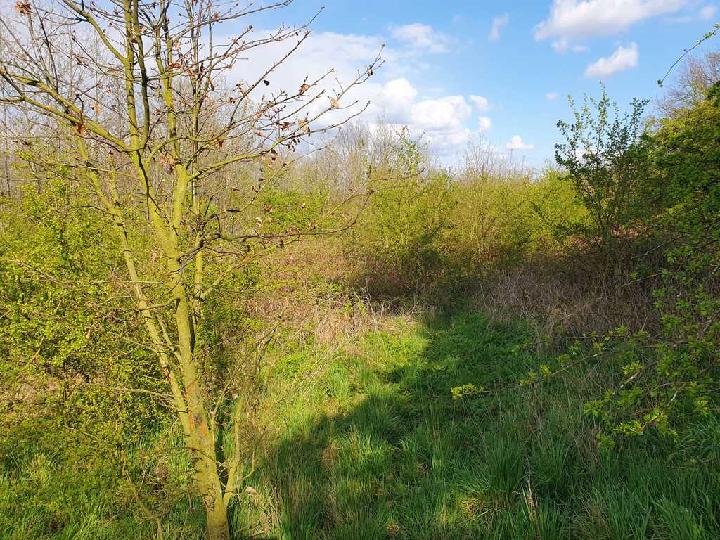 Działka na sprzedaż Zieleniewo 1 131 m2 | Arka Nieruchomości