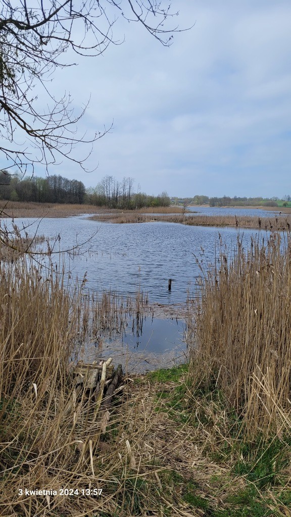 Działka na sprzedaż Zieleniewo 1 124 m2 | Arka Nieruchomości