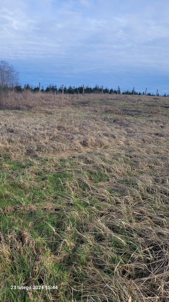 Działka na sprzedaż Zieleniewo 1 033 m2 | Arka Nieruchomości