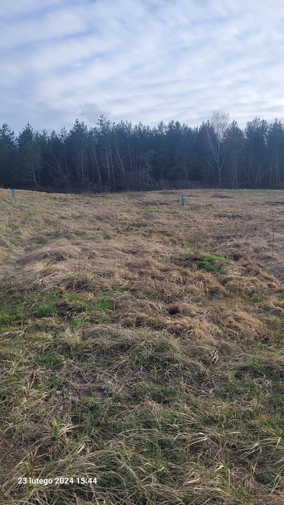Działka na sprzedaż Zieleniewo 1 174 m2 | Arka Nieruchomości