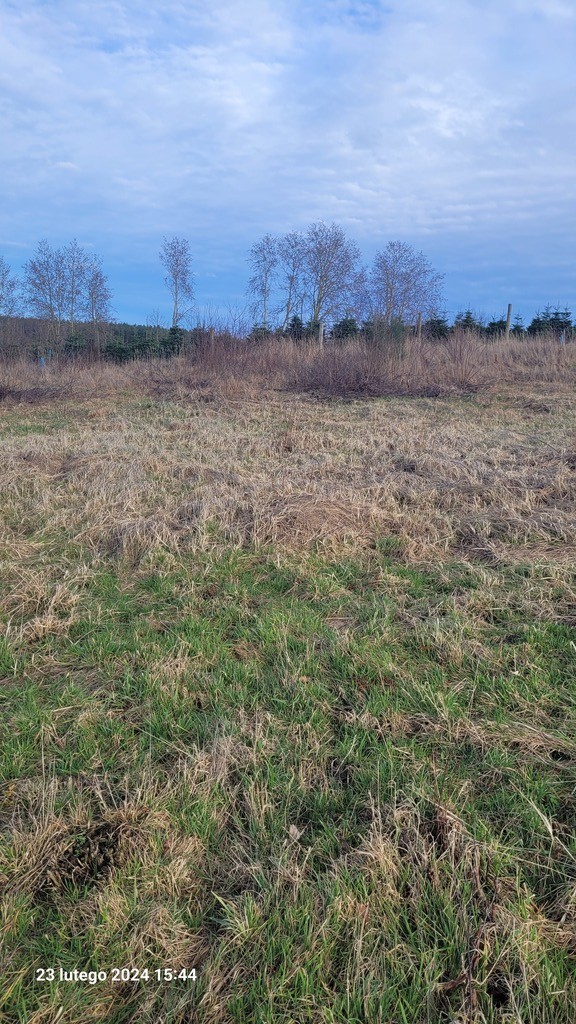 Działka na sprzedaż Zieleniewo 1 174 m2 | Arka Nieruchomości