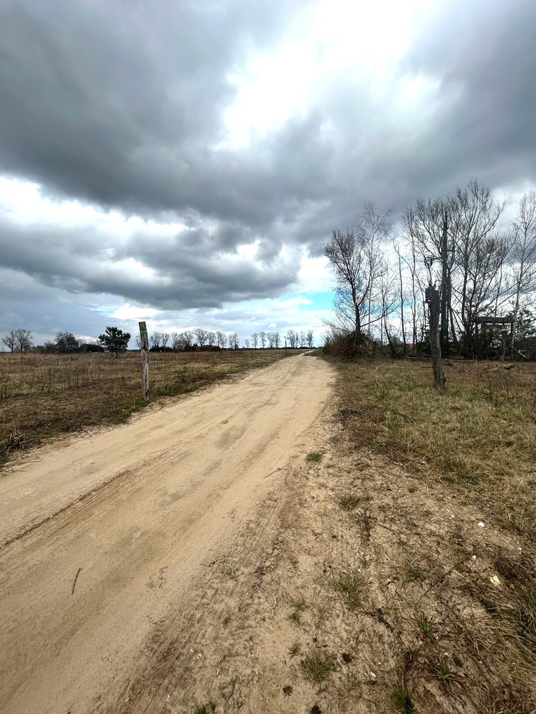 Działka na sprzedaż Barnimie 2 010 m2 | Arka Nieruchomości