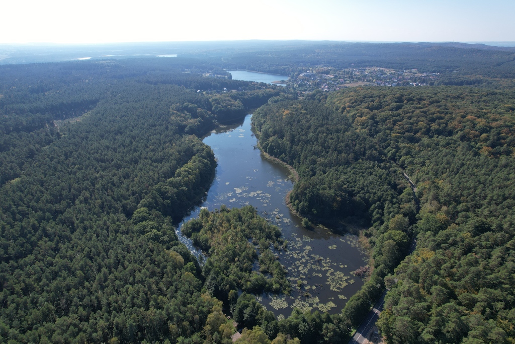 Działka na sprzedaż Wisełka 2 307 m2 | Arka Nieruchomości