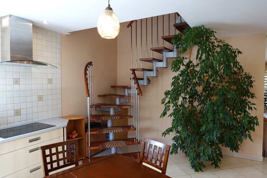 Obiekt na sprzedaż Chojna 641 m2 | Arka Nieruchomości