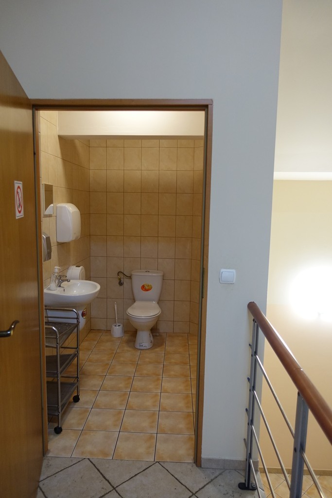 Obiekt na sprzedaż Chojna 641 m2 | Arka Nieruchomości