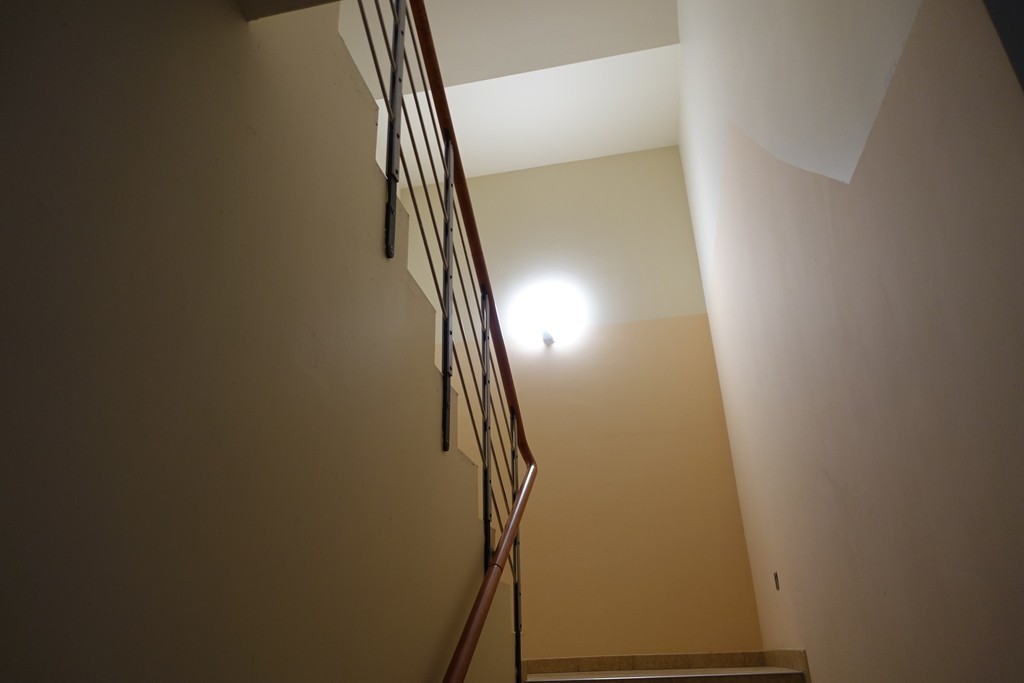 Obiekt na sprzedaż Chojna 641 m2 | Arka Nieruchomości