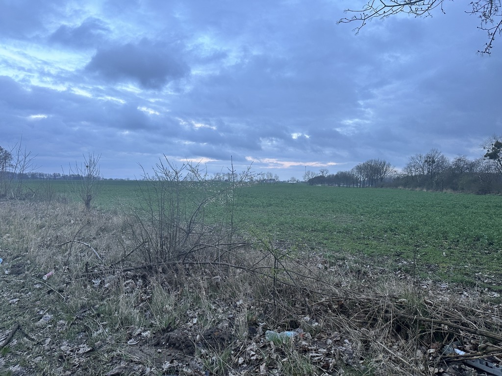 Działka na sprzedaż Ryszewko 40 917 m2 | Arka Nieruchomości