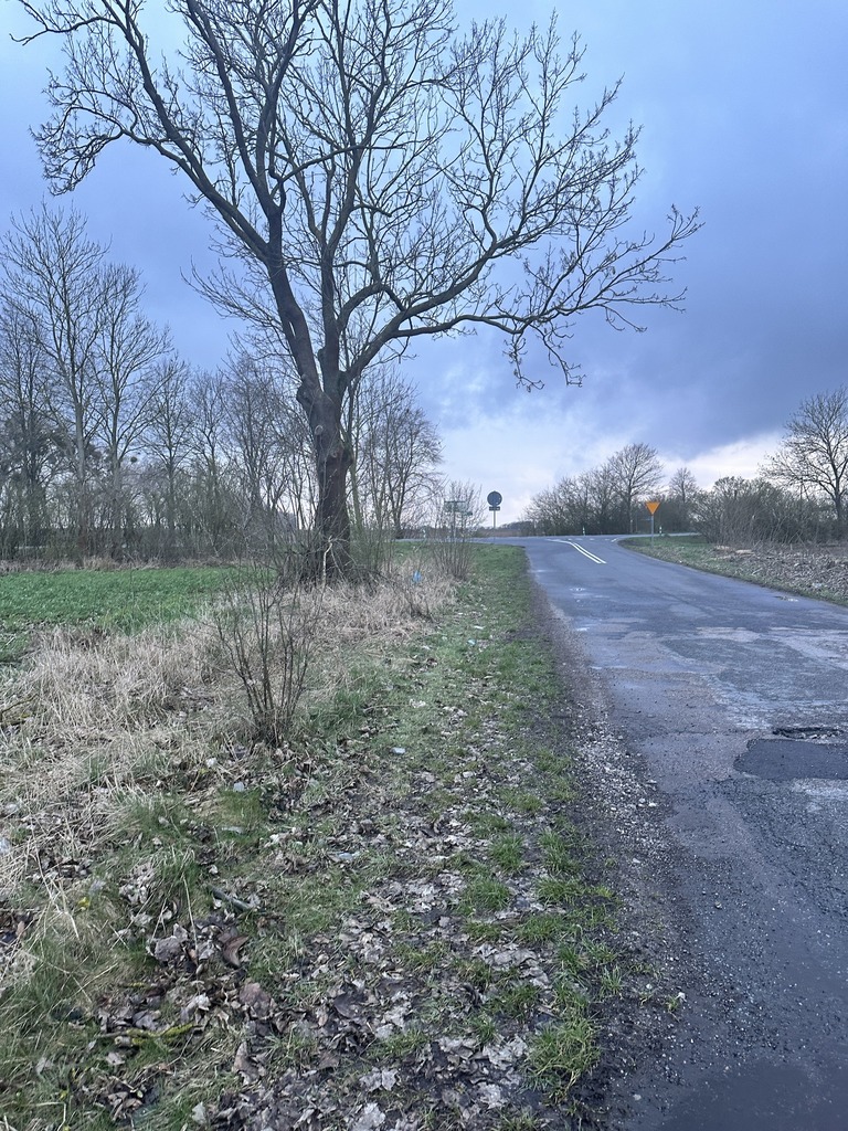 Działka na sprzedaż Ryszewko 40 917 m2 | Arka Nieruchomości