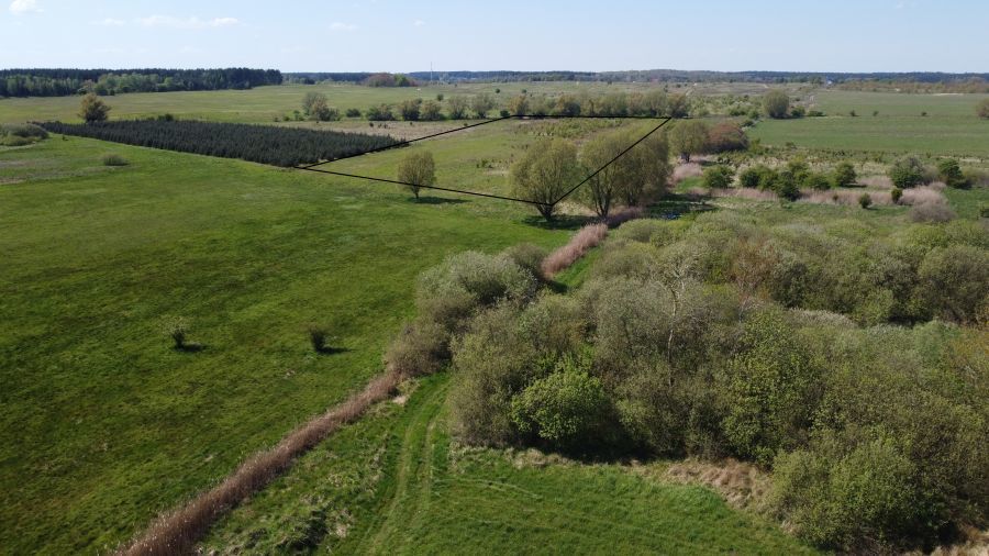 Działka na sprzedaż Wąwelnica 22 700 m2 | Arka Nieruchomości