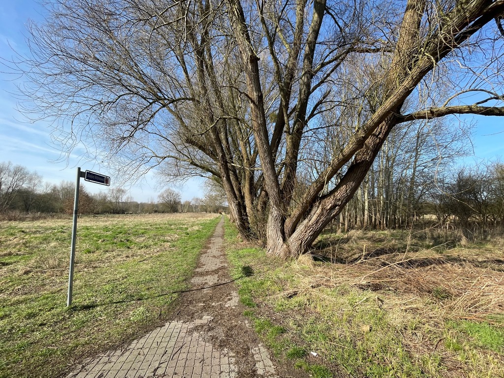 Działka na sprzedaż Trzebież 4 800 m2 | Arka Nieruchomości