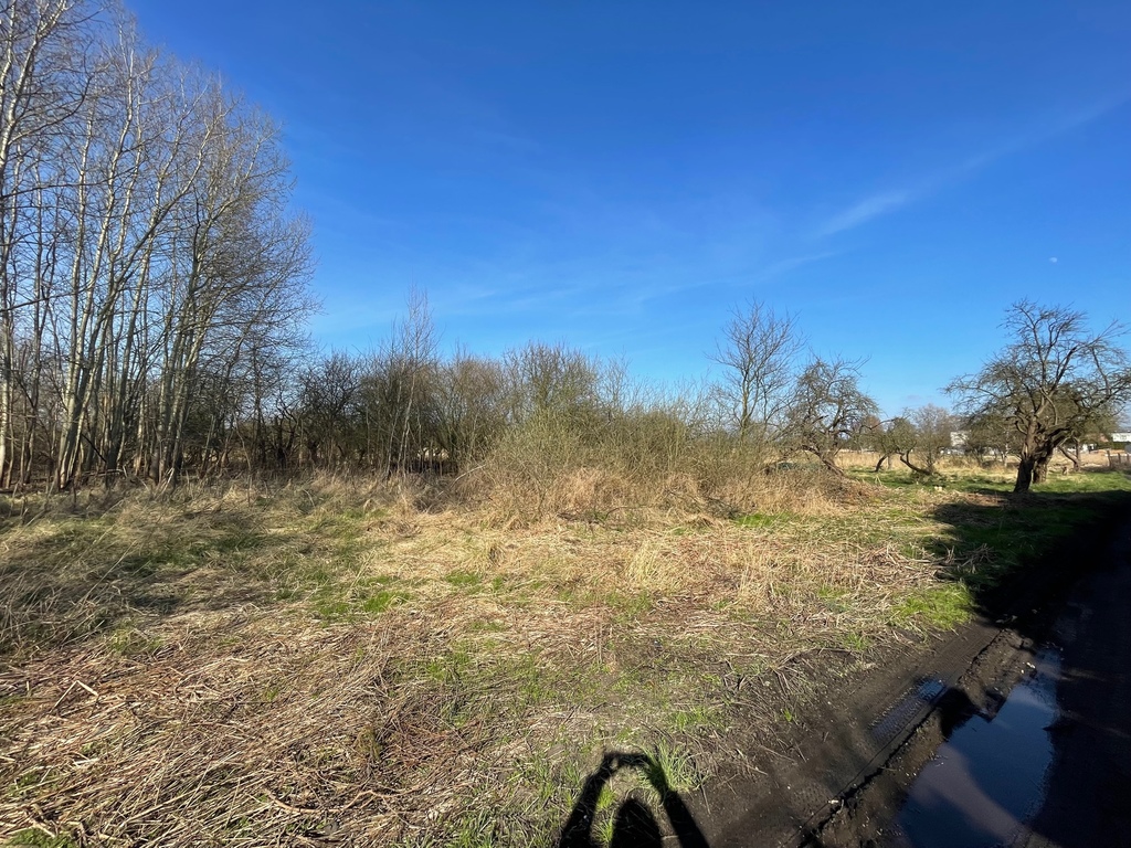 Działka na sprzedaż Trzebież 4 800 m2 | Arka Nieruchomości