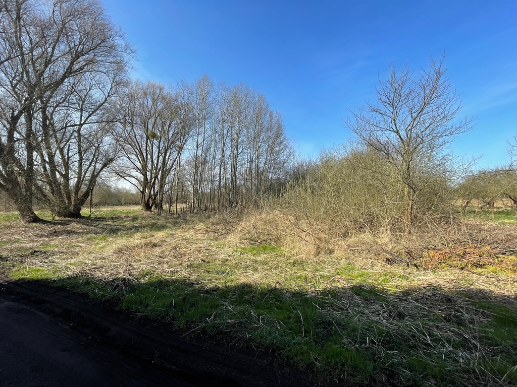 Działka na sprzedaż Trzebież 4 800 m2 | Arka Nieruchomości