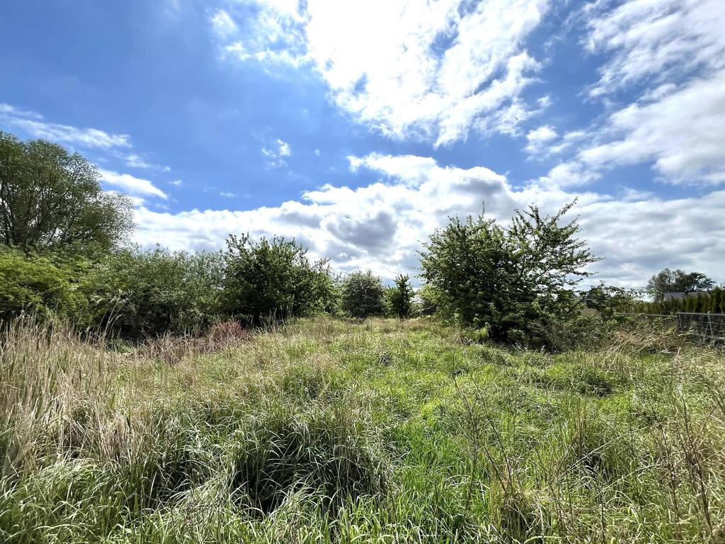Działka na sprzedaż Dołuje 4 446 m2 | Arka Nieruchomości
