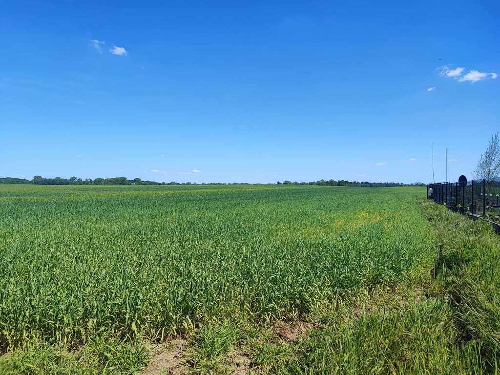 Działka na sprzedaż Kolonia Dolna-Grabowo 6 984 m2 | Arka Nieruchomości