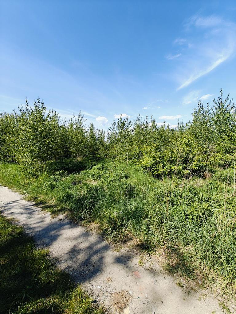Działka na sprzedaż Goleniów 980 m2 | Arka Nieruchomości