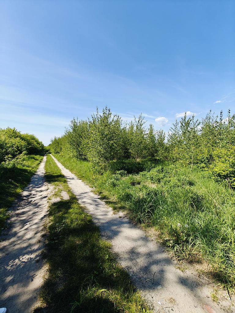 Działka na sprzedaż Goleniów 980 m2 | Arka Nieruchomości