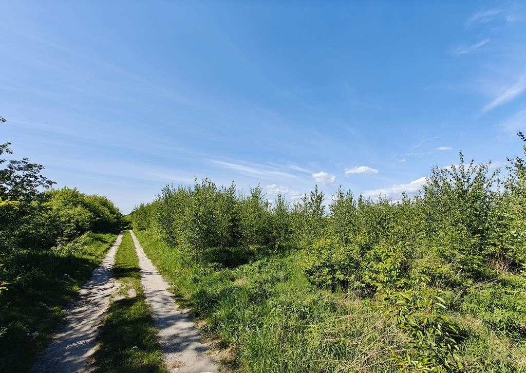 Działka na sprzedaż Goleniów 980 m2 | Arka Nieruchomości