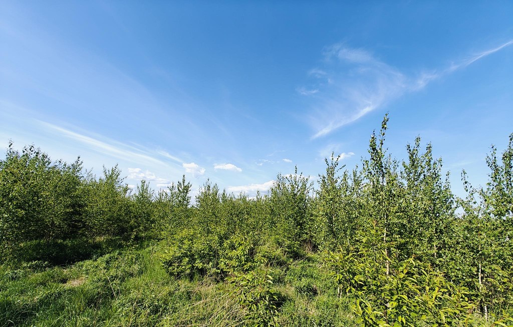 Działka na sprzedaż Goleniów 980 m2 | Arka Nieruchomości