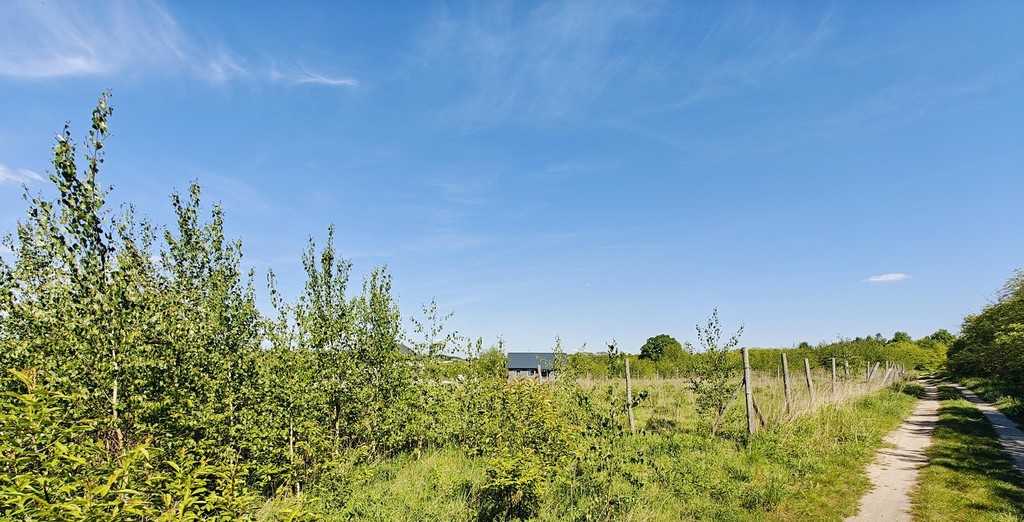 Działka na sprzedaż Goleniów 980 m2 | Arka Nieruchomości