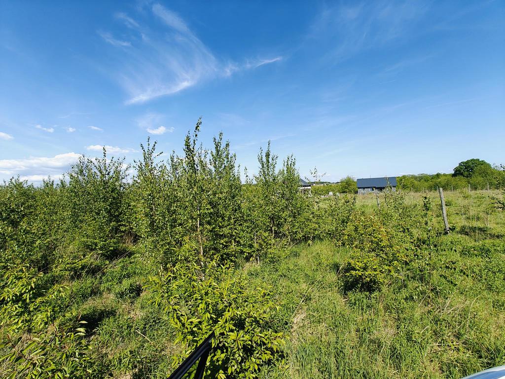 Działka na sprzedaż Goleniów 980 m2 | Arka Nieruchomości
