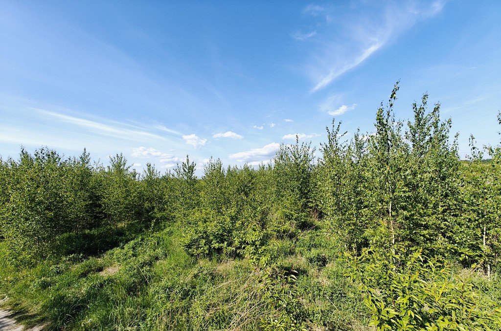 Działka na sprzedaż Goleniów 980 m2 | Arka Nieruchomości