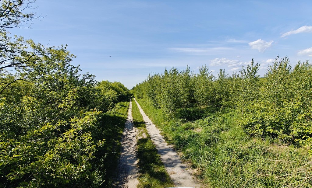 Działka na sprzedaż Goleniów 980 m2 | Arka Nieruchomości