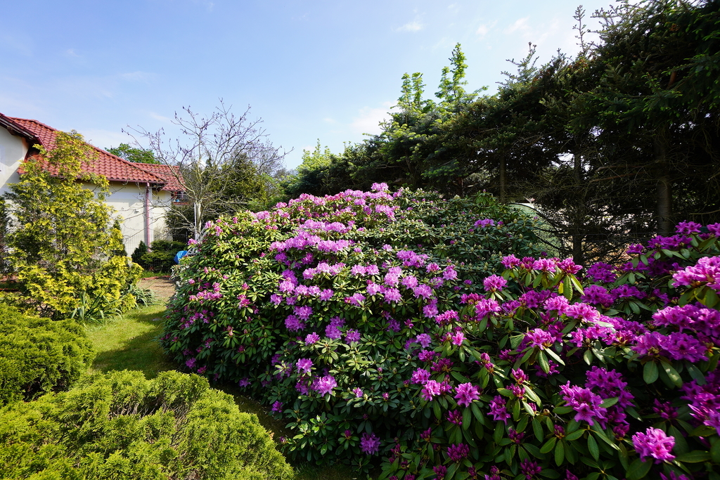 Dom na sprzedaż Szczecin, Załom 272 m2 | Arka Nieruchomości