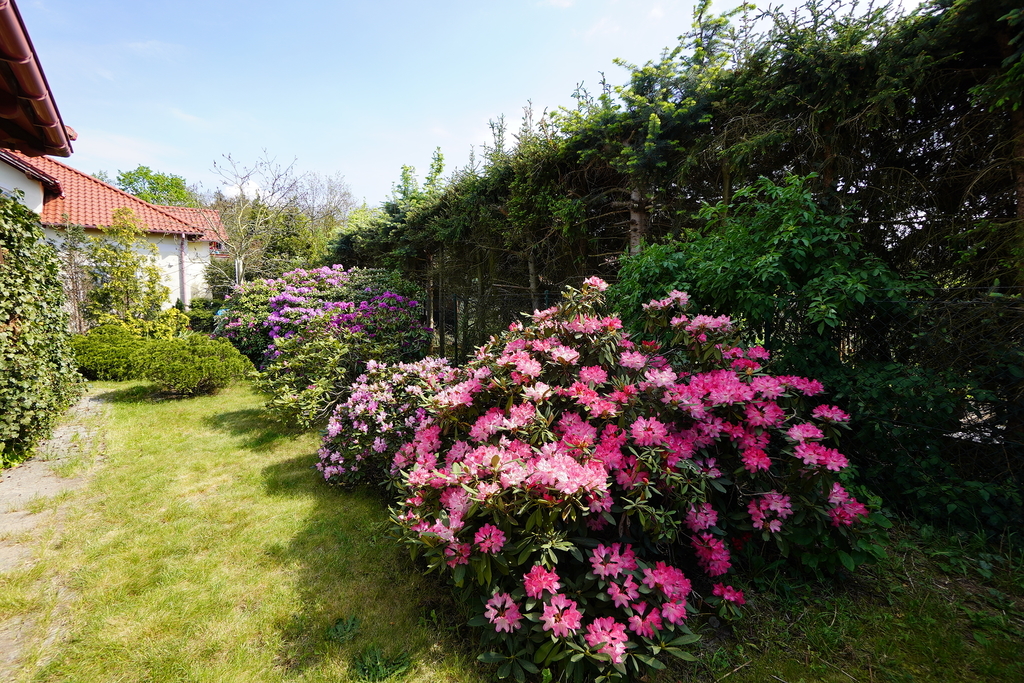 Dom na sprzedaż Szczecin, Załom 272 m2 | Arka Nieruchomości