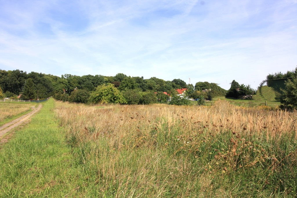 Działka na sprzedaż Ińsko 3 196 m2 | Arka Nieruchomości