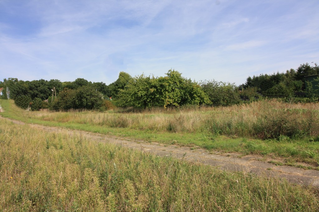 Działka na sprzedaż Ińsko 3 196 m2 | Arka Nieruchomości