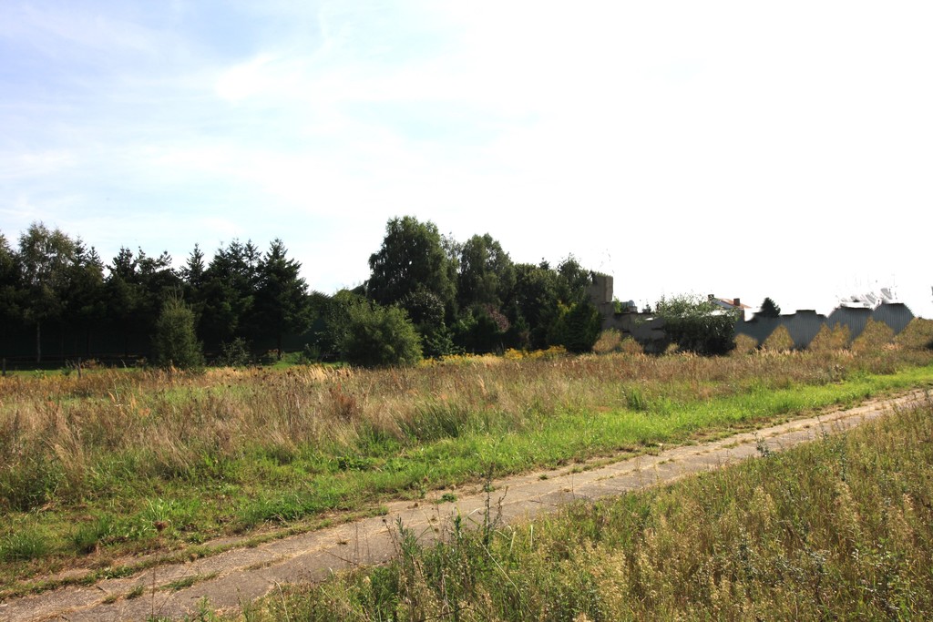 Działka na sprzedaż Ińsko 3 196 m2 | Arka Nieruchomości